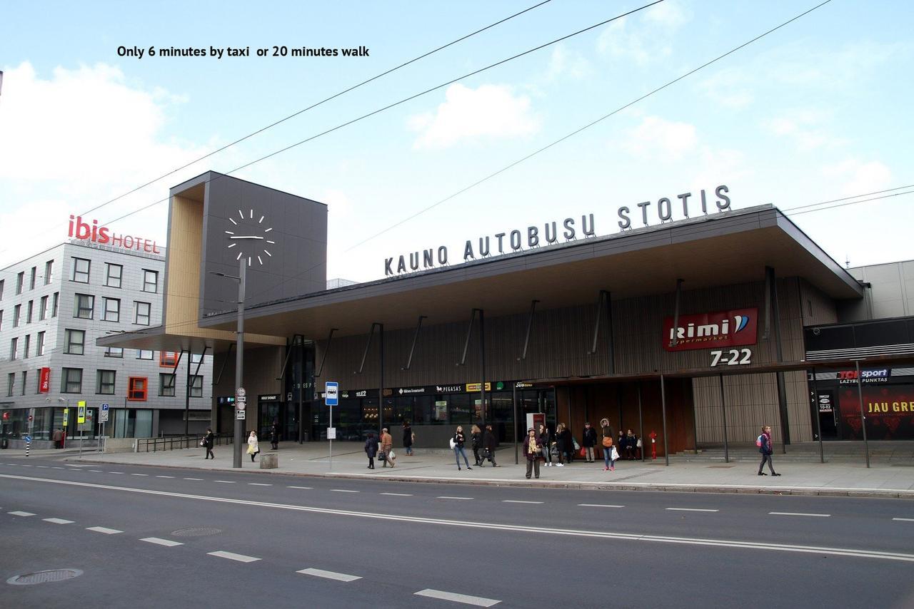Petro Delux Apartments 考纳斯 外观 照片